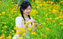 爱子情深全集高清